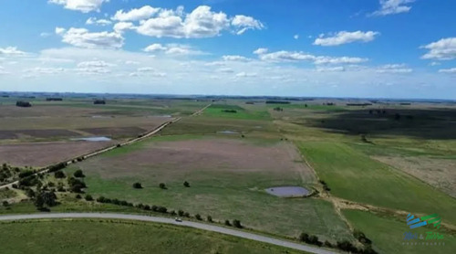 150 Has Campo Agrícola Ganadero A Tan Solo 10 Kms De Florida (bajo De Precio) !