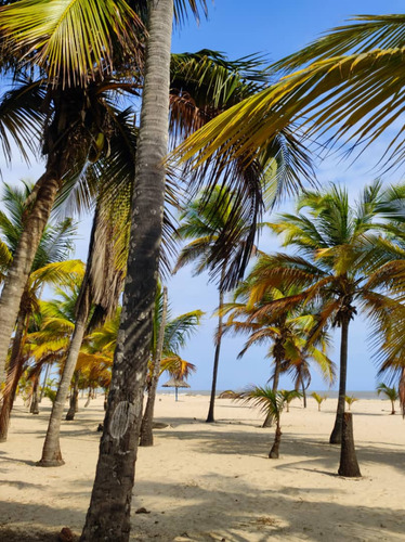 Playa Dorada Conjunto Privado En Machurucuto Edo Miranda