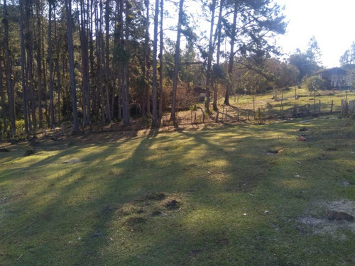 Imagem 11 de 14 de Chácara 48.000 M² Com 3 Nascentes E 02 Lagos Em Juquitiba-sp