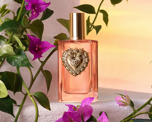 Perfume Dolce & Gabbana Devotion Edp Intense 100ml Mujer