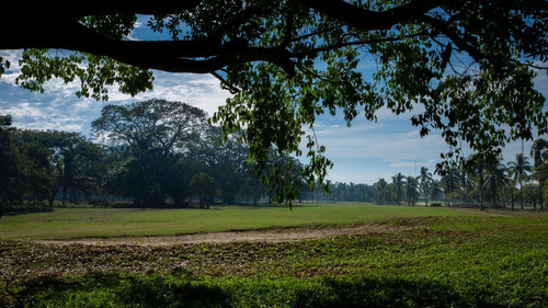 Imagen 14 de 19 de Hermoso Departamento 2 Habitaciones, Alberca Con Chapoteadero, Cancha De Tenis, En El Campo De Golf Ixtapa