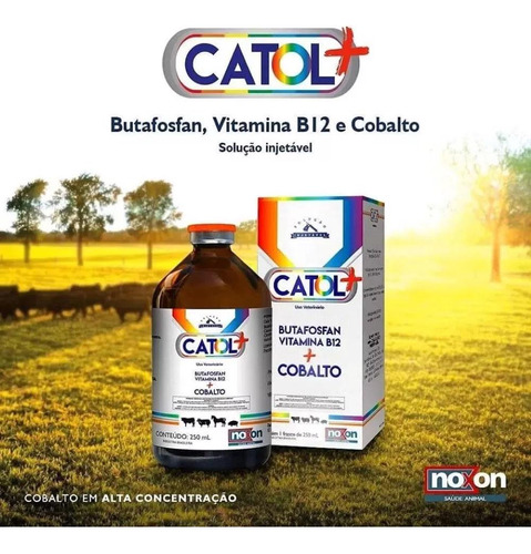 5 Uni Catol+ Vitamina B12 250ml - Noxon
