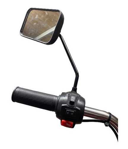 Imagen 7 de 17 de Pegaso Bike /moto Carga Torito Triciclo Electrico Homologado