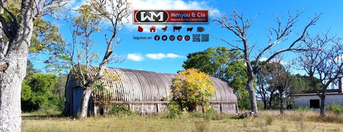 Imagen 2 de 12 de Venta Campo Lavalleja 490 Has Forestal Ganadero 217has En Rebrote Forestal Suelos 2.11a Y 2.11b