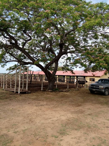 Imagen 8 de 9 de Venta De Finca En Los Cardones Ve02-021lc-mt