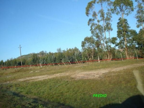 Campo En Venta En Lavalleja, 4 Hectáreas.