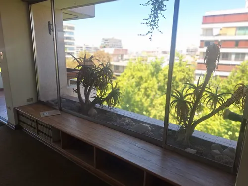 Hernando De Aguirre/providencia (79851)