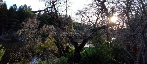 Imagen 12 de 26 de Susana Aravena Vende Lote En Meliquina