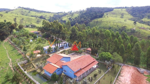 Imagem 2 de 15 de Fazenda Para Venda Em Crucilândia - 70509_2-1223566