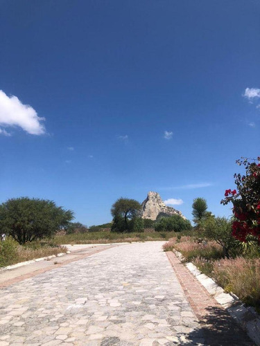 Imagen 2 de 3 de En Venta Terreno En Vergel De La Peña, Bernal
