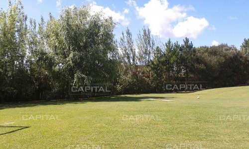 Imagen 9 de 30 de Chacra Con Casa En Venta Mangrullos De Punta Piedra- Ref: 27705
