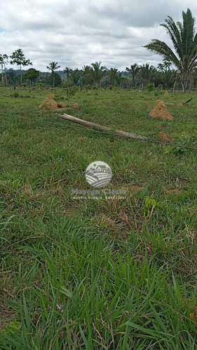Imagem 7 de 11 de Venda Sítio Machadinho D'oeste Em Rondônia - Sia249