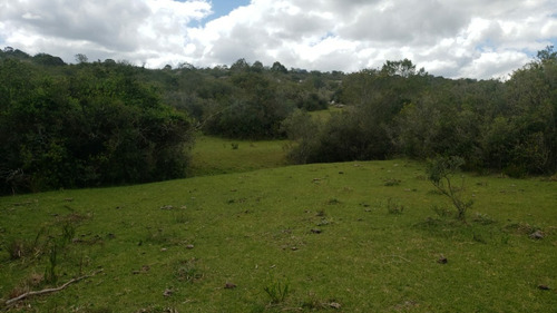 Vendo Campo