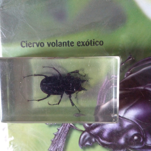 Bicho Coleccionable + Fascículo Ciervo Volante Exótico