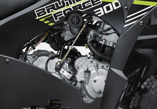 Imagen 9 de 14 de Cuatri Kawasaki Brute Force 300