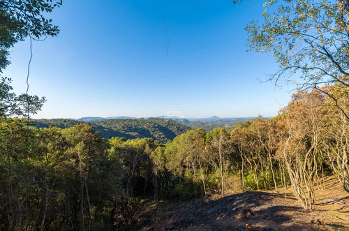 Imagem 2 de 30 de Chácara - Residencial - 936672