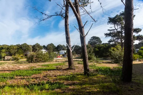 Venta Terreno Pinar Del Faro, 1000 Mts (pfg11)