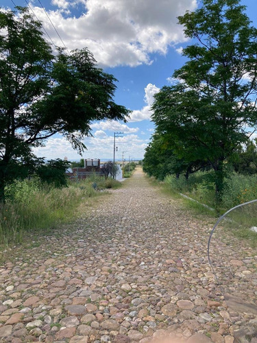 Imagen 9 de 12 de Terreno Habitacional En Venta En Campestre Lomas Del Sur, Romita, Guanajuato