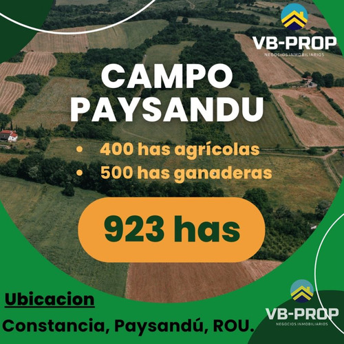 Venta Campo Paysandú Uruguay La Constancia  
