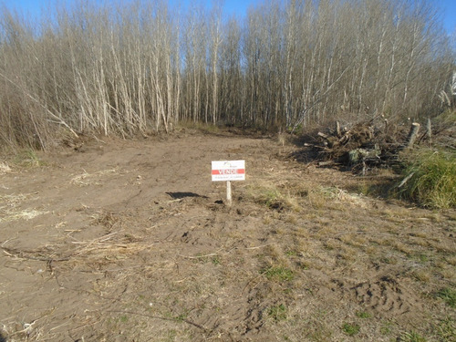 Imagen 3 de 5 de Lote Residencial