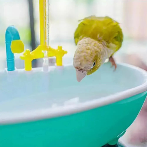 Ducha Automática For Pájaros Y Baño For Loros