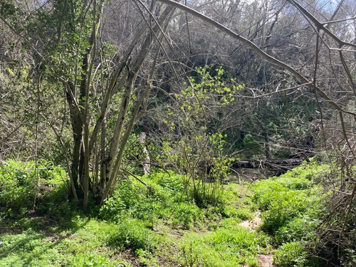 Sitio En Venta En Curacaví