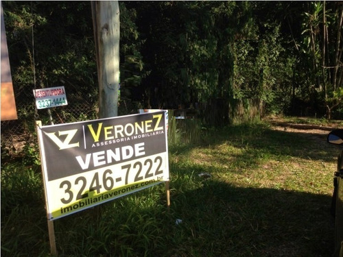 Terreno Em Jardim Isabel - Vz1389