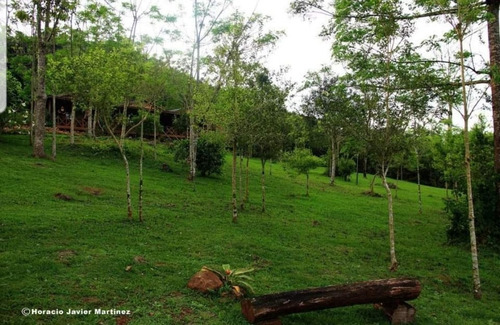 Complejo De 7 Cabañas En Misiones, Frente A Rio Uruguay