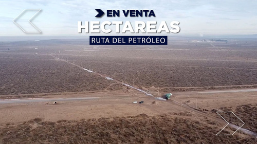 Venta De 6 Has Nueva Ruta Del Petróleo Ruta 67 Nqn