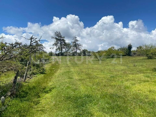 Imagen 22 de 24 de Se Vende Rancho En Hidalgo Para Inversionistas
