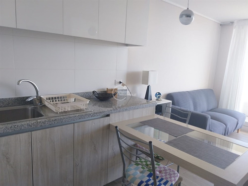 Venta Departamento En Concón, 1 Dormitorio, Estacionamiento.