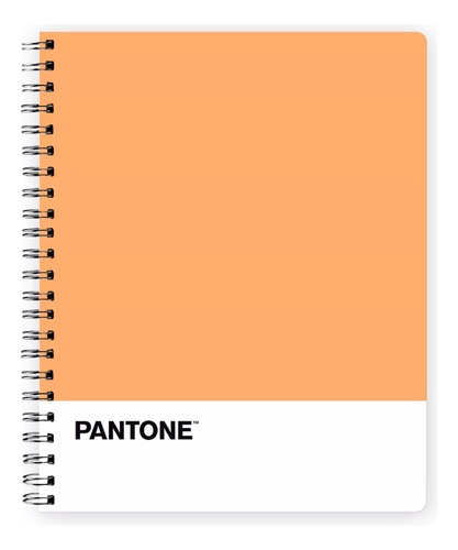 Pack 10 Cuadernos Universitario Pantone Fluor Tapa Dura 7mm