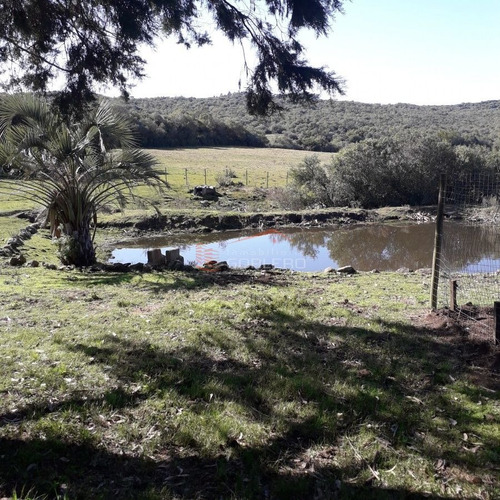 Imagen 15 de 29 de Maldonado Campo Con 150 Has Ganaderas En Aigua, 70 Kms De Punta, Serrano, Pintoresco, Con Instalaciones