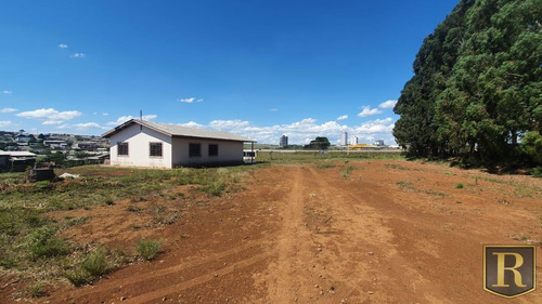 Terreno Para Locação Em Guarapuava, Industrial - _2-1184539