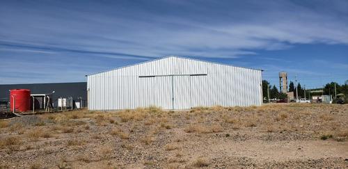 Imagen 14 de 30 de Alquilo Galpon 500 M2 - Predio 11.000 M2 Y Ofi 60 M2 -