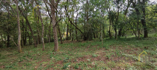 Terreno Enventa En Piedra De Agua En Jilotepec Veracruz