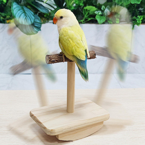 Percha Para Pájaros, Soporte Para Juegos De Loros, Percha S