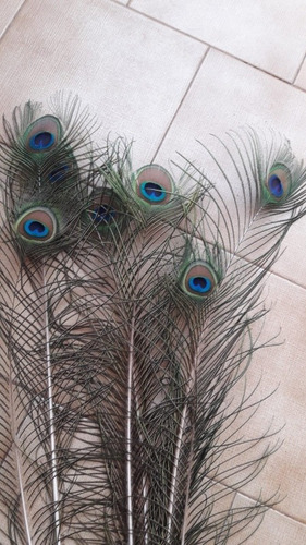 Plumas De Pavo Real Natural Ojo Entero Pack X 10 Uni.