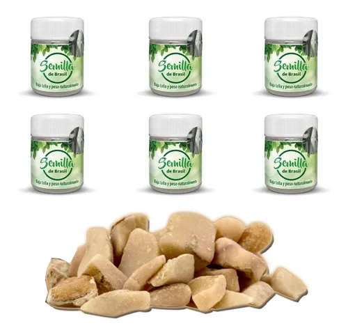 comprar Semilla Sdb Original 6 Frascos comprar Semilla Sdb Original 6 Frascos