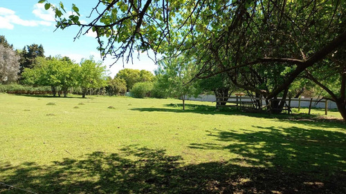 Imagen 4 de 8 de Hermoso Lote En Tortuguitas En Zona De Quintas