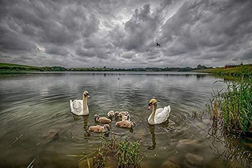 Imagen 6 de 6 de in Lente Zoom Montura Para Camara Canon Eo Dslr Ti Sl Zp