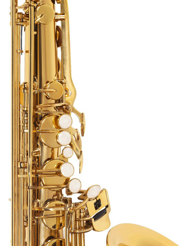 Saxofone Sax Tenor Michael Wtsm30n