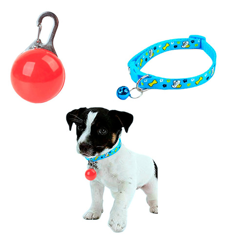 Set Collar Perro O Gato Chico + Colgante Con Luz Led Perro