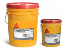 Comprar Pintura Cielos Rasos Antihongos Sika 20+4l - Davinci