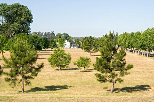 Imagen 4 de 9 de Terreno - Pilar- Haras Del Sol