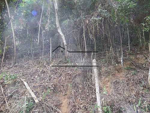 Imagem 8 de 15 de Jardim Interlagos(ponte Preta)-maricá, Terreno Para A Venda, Podendo Fazer Uma Casa Com Vista. - T071