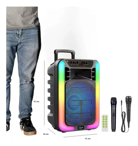 Parlante Portatil Con Microfono Inalambrico 15 Pulgadas Negro