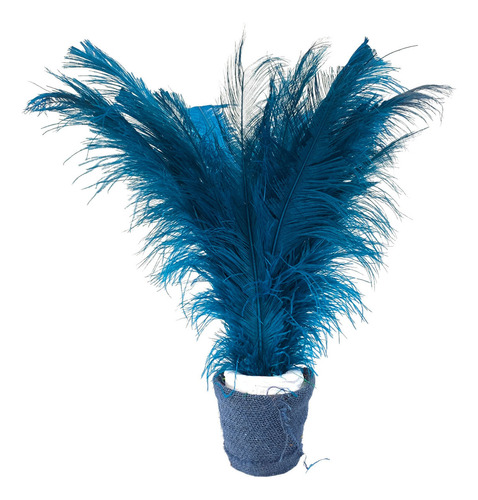 Plumas De Avestruz Tipo Palito P/ Traje Escola De Samba 100g Cor Azul-petróleo