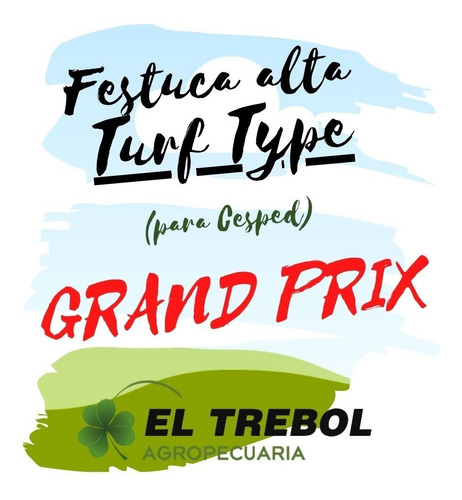 Semilla Cesped Festuca (turf Type) Grand Prix Bolsa X 1 Kg