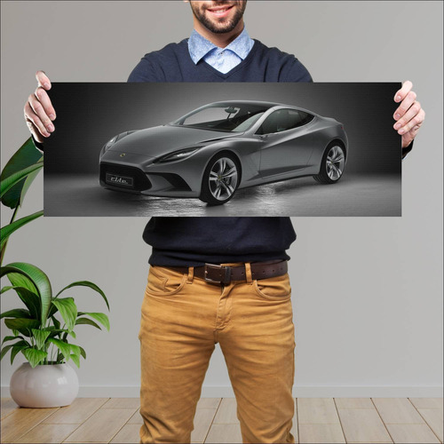 Cuadro 30x80cm Auto 2010 Lotus Elite Concept 418 95